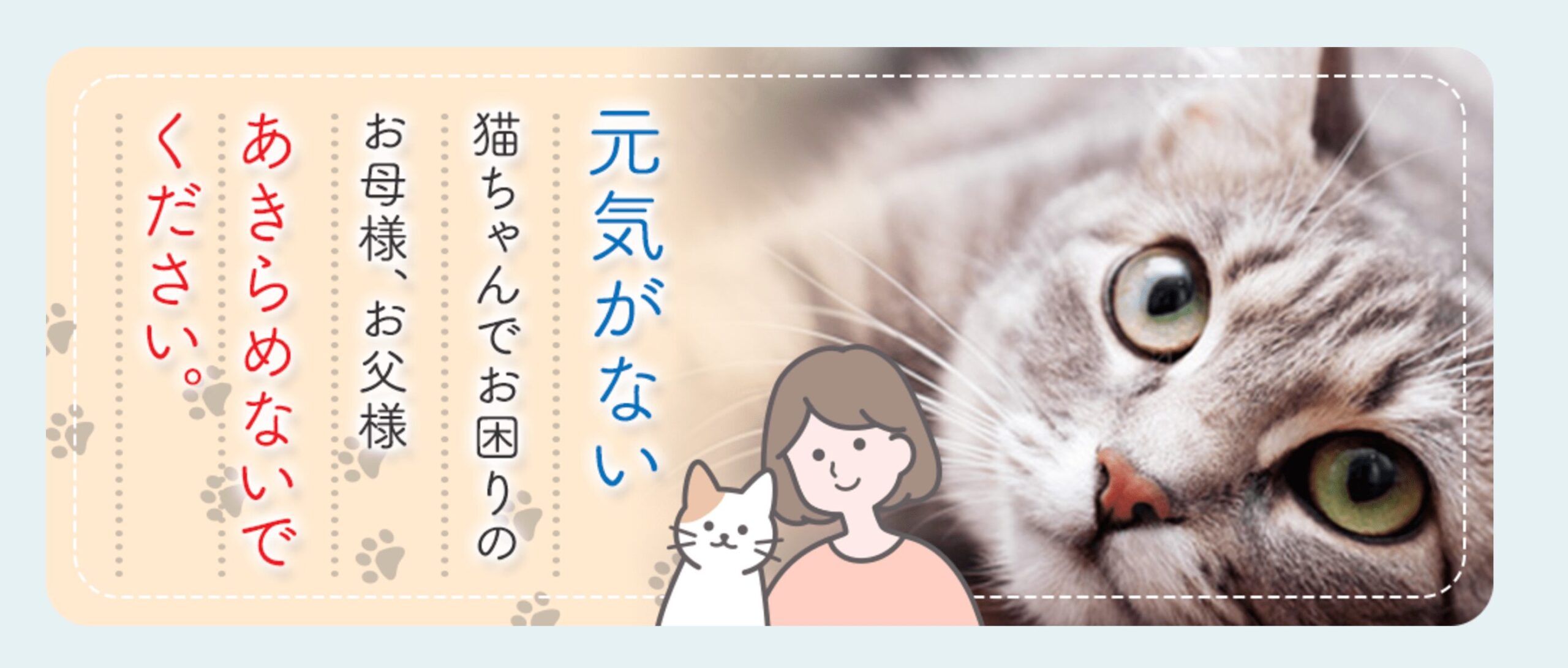 【限定特典あり】「獣医さんの水素水」の愛用者が体験した愛猫・愛犬の変化とは